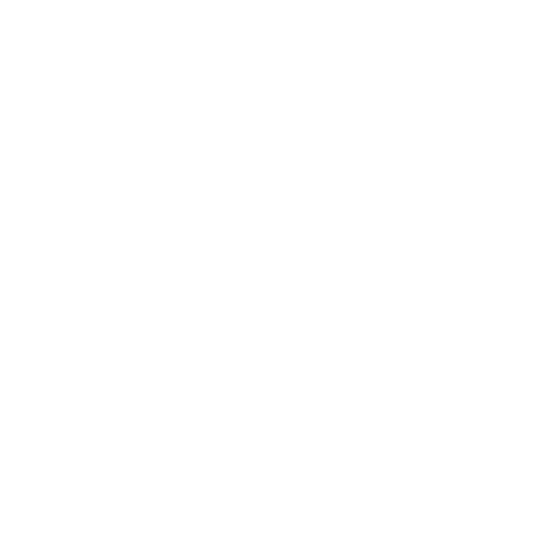 Imagem Escudo